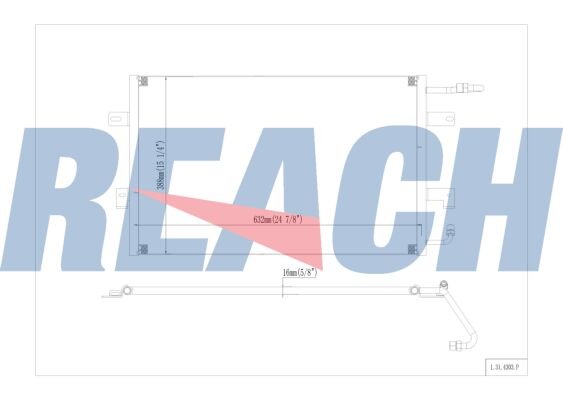 REACH 1.31.4303.P