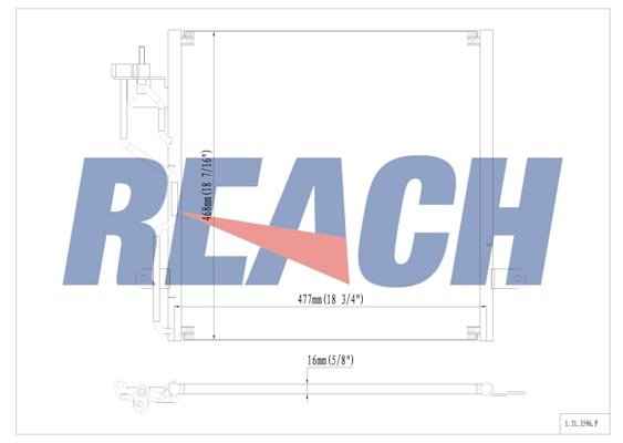 REACH 1.31.3596.P