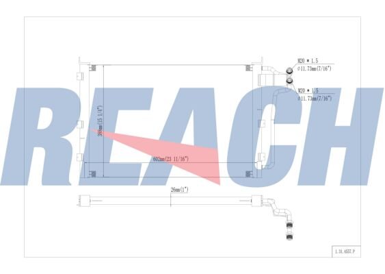 REACH 1.31.4557.P