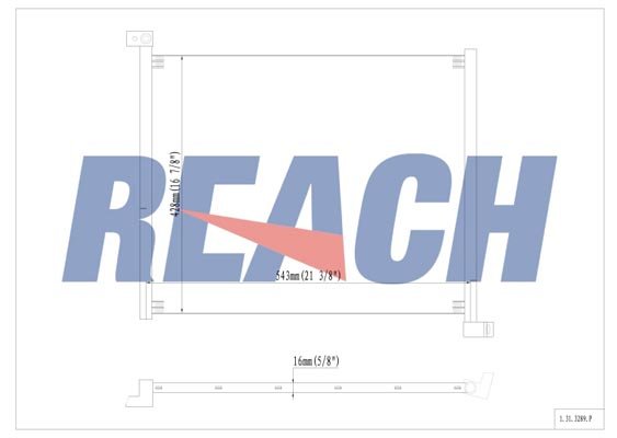 REACH 1.31.3289.P