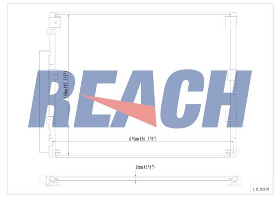 REACH 1.31.3024.PD