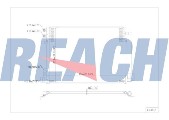 REACH 1.31.4224.P