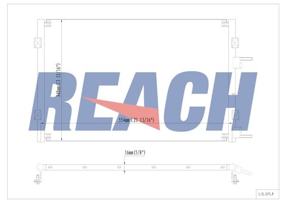 REACH 1.31.3171.P