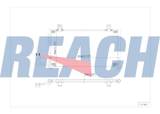 REACH 1.31.4901.P