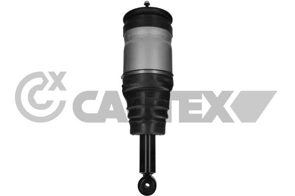 CAUTEX 751950