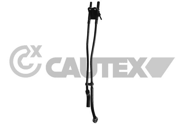CAUTEX 770381
