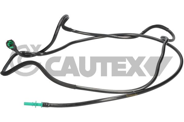CAUTEX 777043