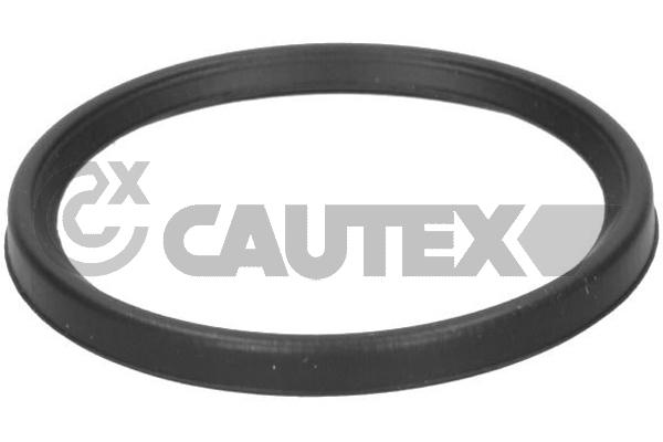 CAUTEX 773502