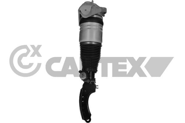 CAUTEX 752016