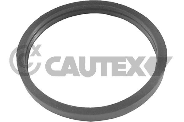 CAUTEX 955241