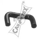 CAUTEX 035031