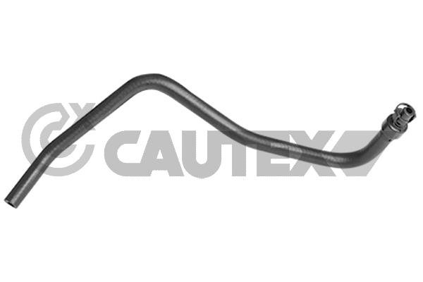 CAUTEX 771668 CAUTEX 771668
