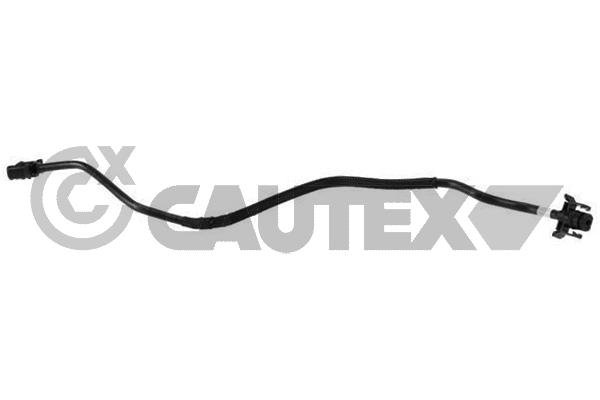 CAUTEX 775579 CAUTEX 775579