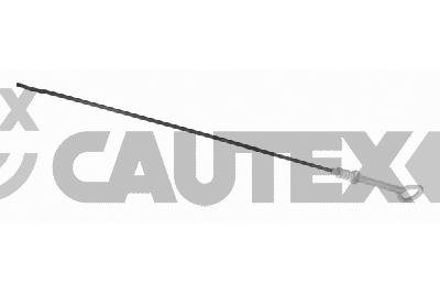 CAUTEX 776121