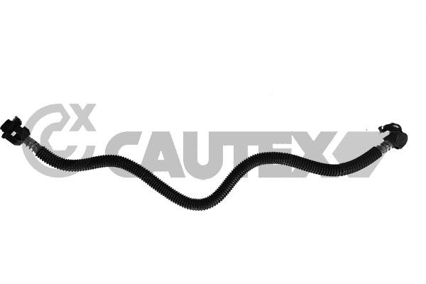CAUTEX 775586