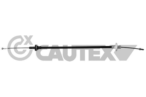CAUTEX 089079