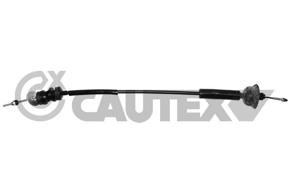 CAUTEX 031751