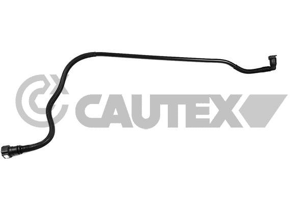 CAUTEX 771353