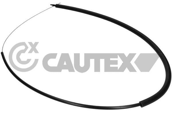 CAUTEX 028088