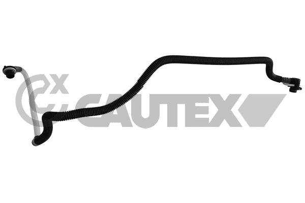 CAUTEX 771318
