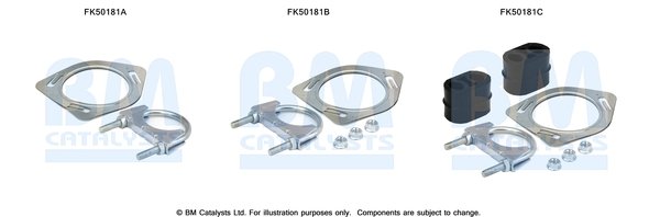 BM CATALYSTS FK50181 BM CATALYSTS FK50181