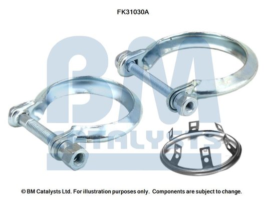 BM CATALYSTS FK31030