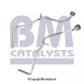BM CATALYSTS PP11161B