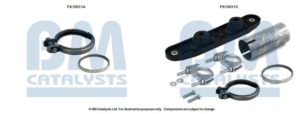 BM CATALYSTS FK15011 BM CATALYSTS FK15011