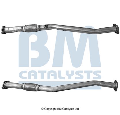 BM CATALYSTS BM50991