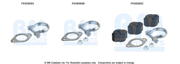 BM CATALYSTS FK50565