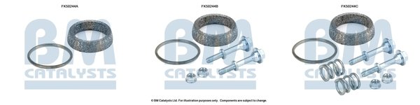 BM CATALYSTS FK50244