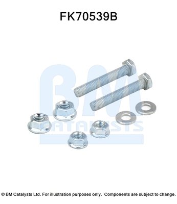 BM CATALYSTS FK70539