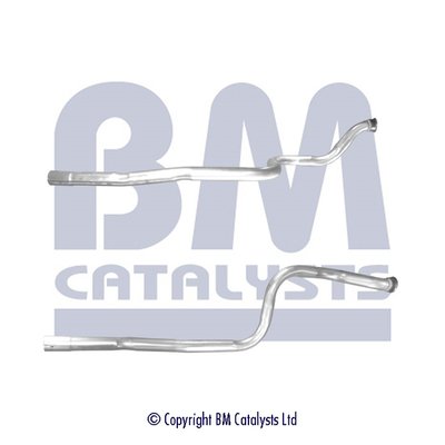 BM CATALYSTS BM50635