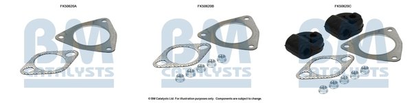 BM CATALYSTS FK50620