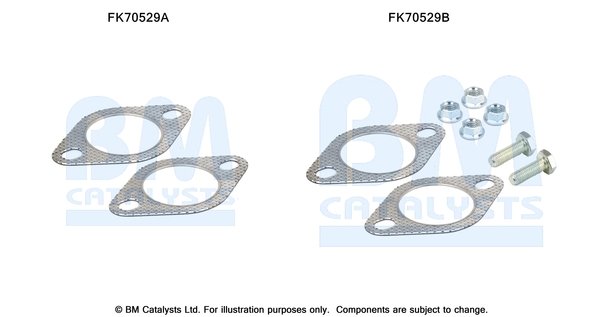 BM CATALYSTS FK70529