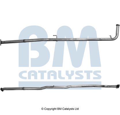 BM CATALYSTS BM50679