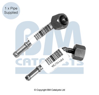 BM CATALYSTS PP11073A