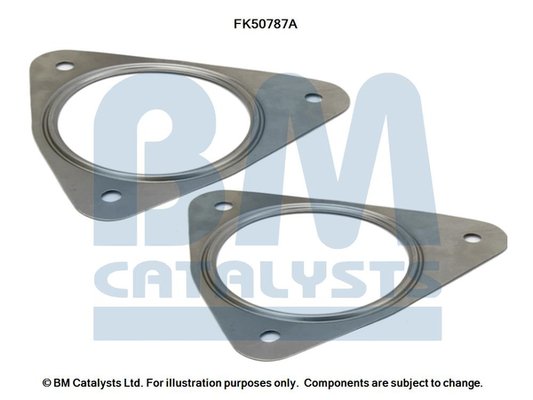 BM CATALYSTS FK50787 BM CATALYSTS FK50787