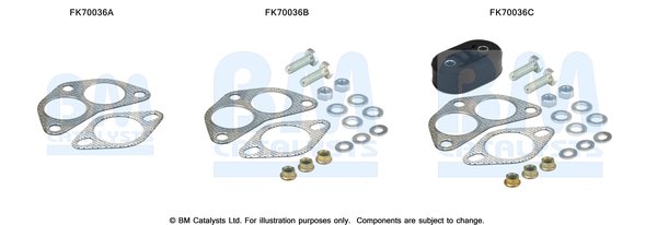 BM CATALYSTS FK70036