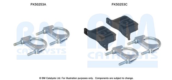 BM CATALYSTS FK50253