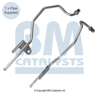 BM CATALYSTS PP11060B