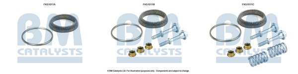 BM CATALYSTS FK51011