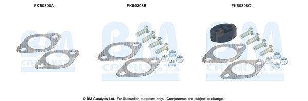 BM CATALYSTS FK50308