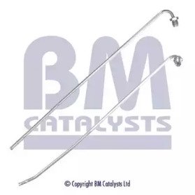 BM CATALYSTS PP11079B