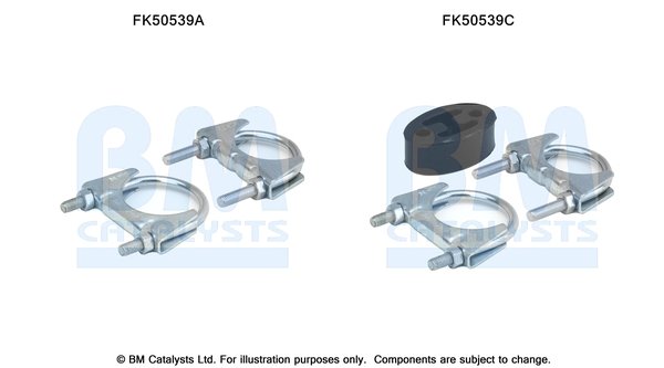 BM CATALYSTS FK50539