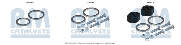 BM CATALYSTS FK91911