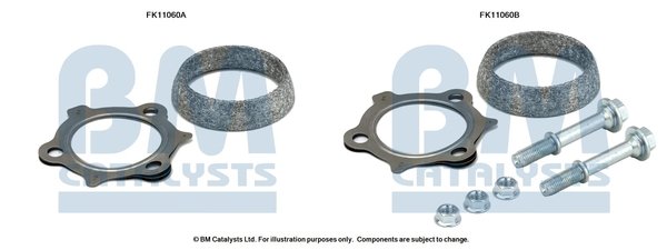 BM CATALYSTS FK11060