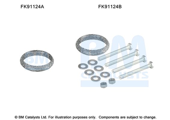 BM CATALYSTS FK91124