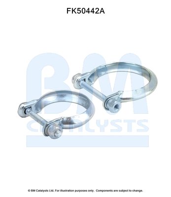 BM CATALYSTS FK50442 BM CATALYSTS FK50442