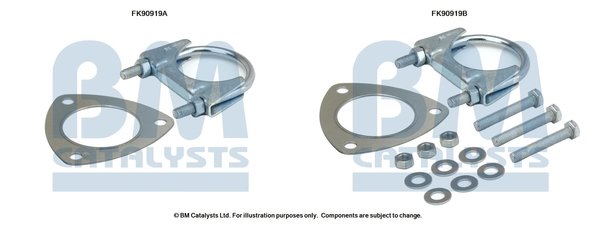 BM CATALYSTS FK90919